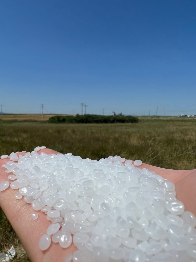 Plastic_grain_on_palm